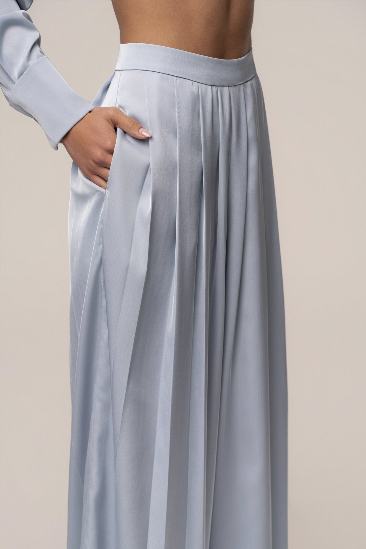Blue Clara Wide Leg Pleated Trousers